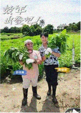 典籍里的中国海报